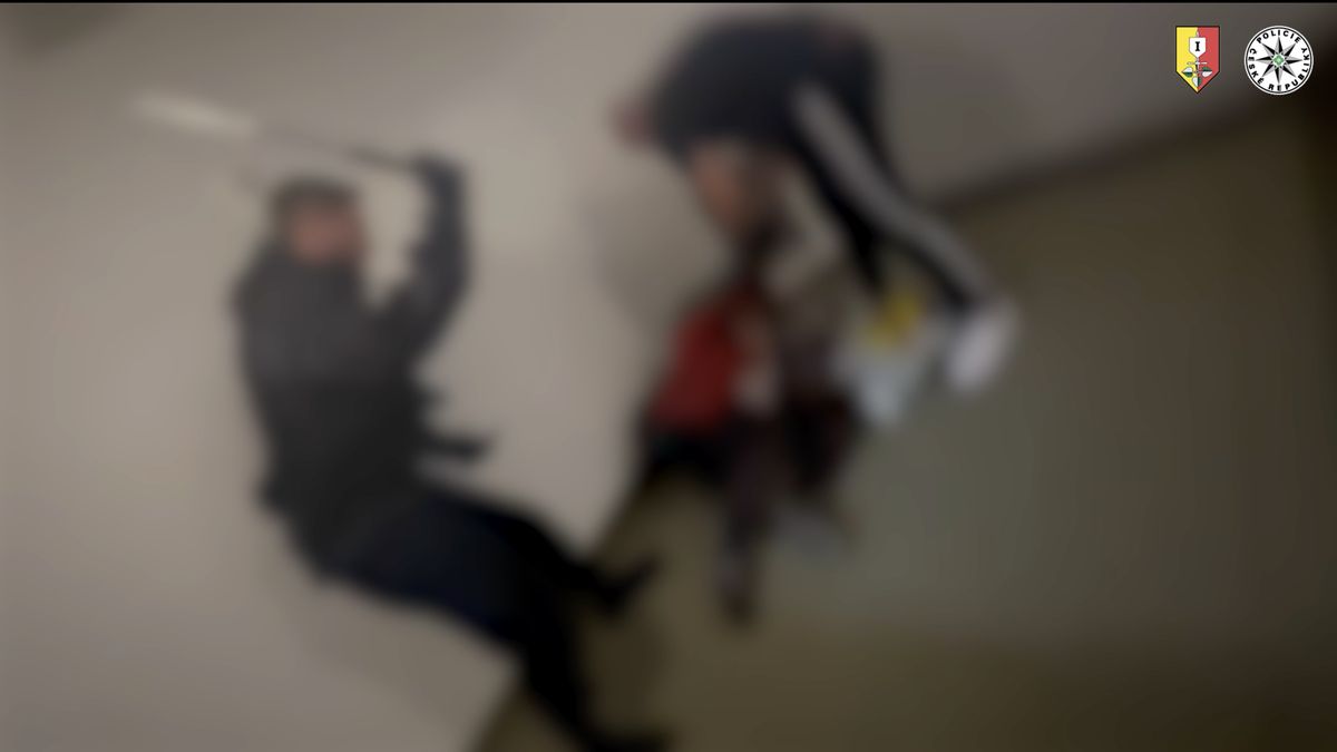 Spolu s ostrahou brutálně bil lidi v Palladiu. Tvrdí, že tam byl náhodou